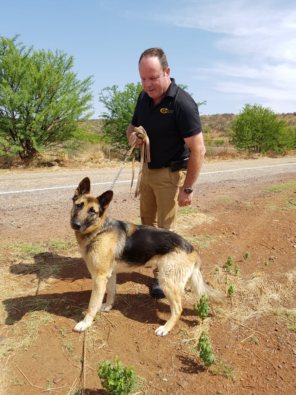 K9 Bella